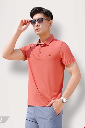 Áo Polo 20